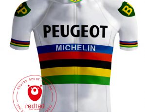 PANASONIC RALEIGH RETRO Cycling BIKE Jersey Shirt Tricot Maillot 